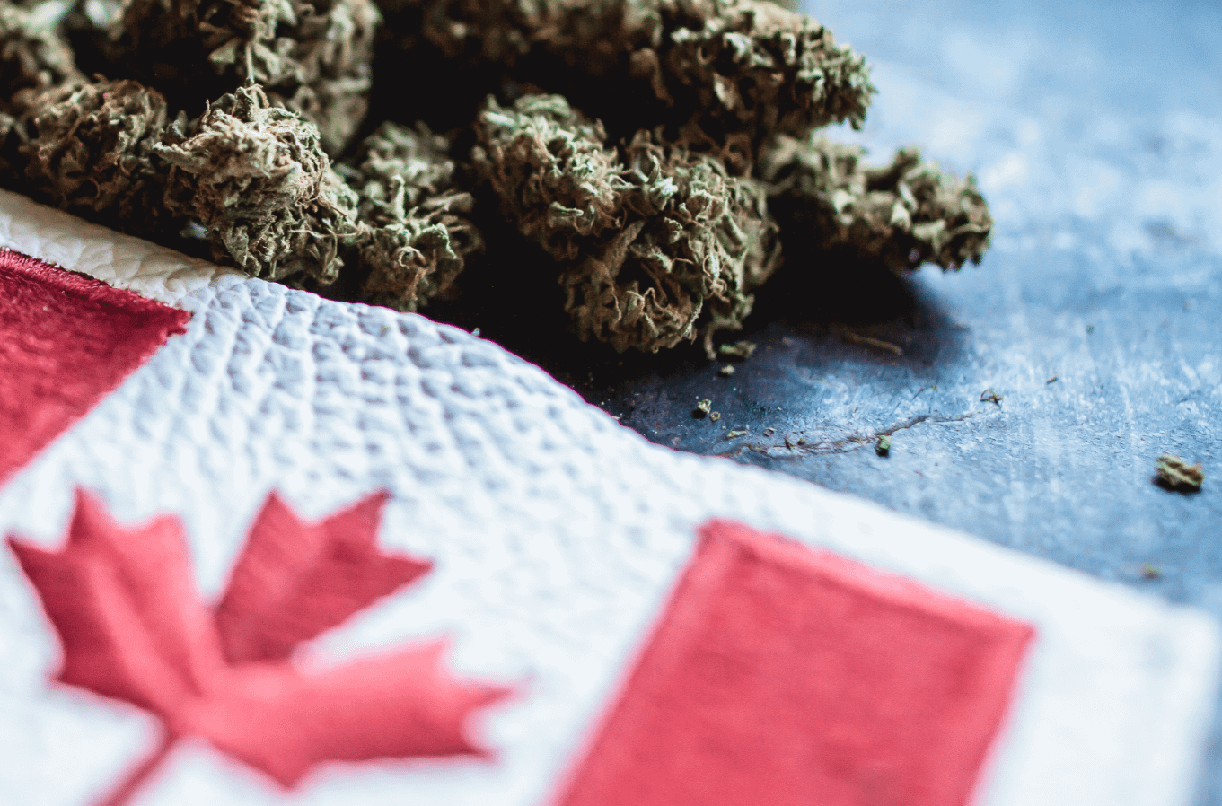 Top Weedmpas Alternative for Marijuana Dispensary Owner in Canada